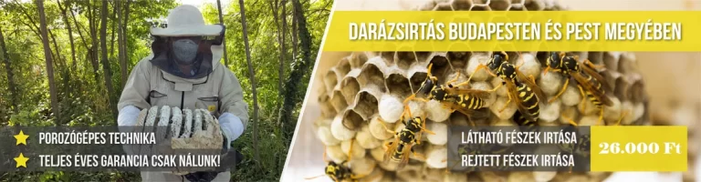 Darázsirtás - darázsirtó fejléc